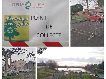 Collecte sapins Grisolles